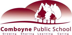 Comboyne Public School - Education Sydney 0