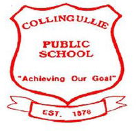 Corrimal Public School - Education Directory