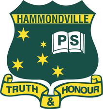 Hammondville Public School - Education SA 0