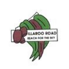 Illaroo Road Public School - Education Directory 0