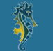 Narooma Golf Club - Education Directory