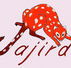 Jajirdi Consultants - Education Directory
