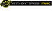 Anthony Breed Music - University Australia