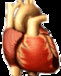 Lynex Health Care & Training Services - Education Sydney 0
