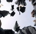 People Plus - Education Directory