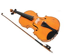 Violin Sports - Education Directory 0