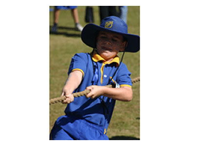 St Dympna's Primary School - Education Directory 3
