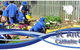 St Anthony's Catholic Primary School Toowoomba - thumb 0