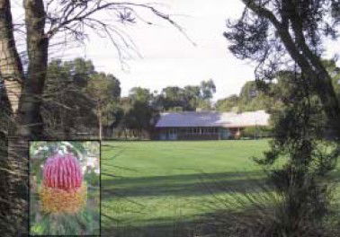 Banksia Park Primary School - Education Directory 3