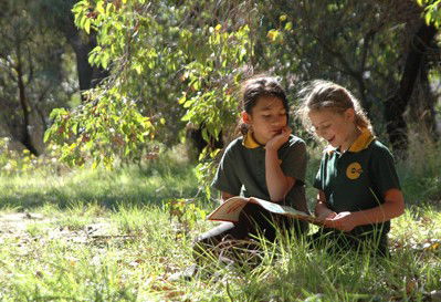 Hilton Primary School - Education Find 1