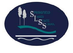 Springfield Lakes State School - University Australia 0