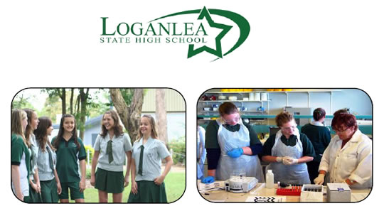 Loganlea QLD Education Find