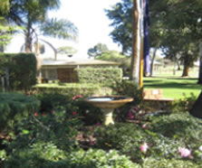 Rostrata Primary School - Education Directory 2