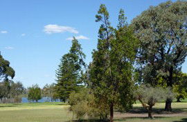 Perth Cbd And Inner Suburbs WA Education SA