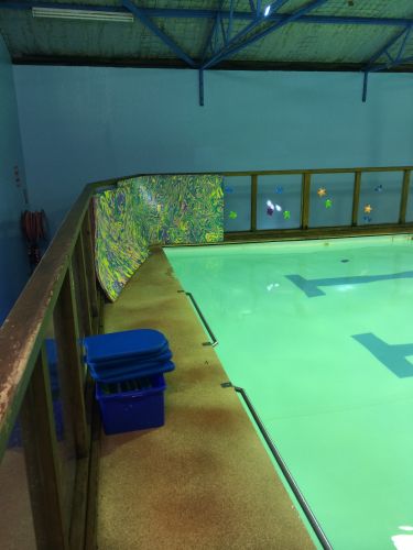 Shane Dowel's Swim School - Education SA 2