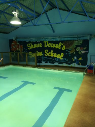 Shane Dowel's Swim School - Education SA 3