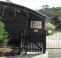 Treetops Montessori Primary School - Education Directory