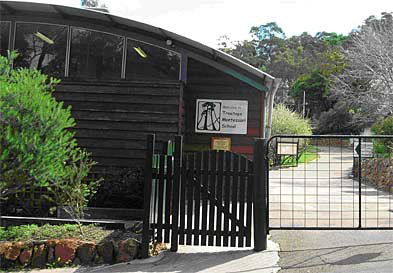 Treetops Montessori Primary School - Education SA 0
