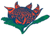 Hurstville South Public School - Education Directory 0