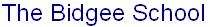 The Bidgee School Wagga Wagga
