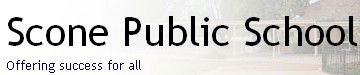 Scone Public School - Education Directory 0