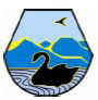 Moruya Public School - University Australia 0