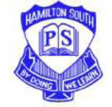 Hamilton South Public School - Education Directory