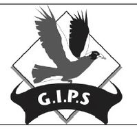 Glen Innes Public School - Education Directory