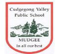 Cudgegong Valley Public School - University Australia