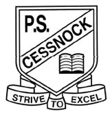 Cessnock Public School Cessnock