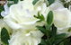 WeddingMakeups.com - thumb 0