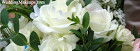 WeddingMakeups.com - Education Directory 0