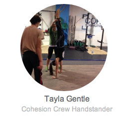 Cohesion Gym - Education SA 0