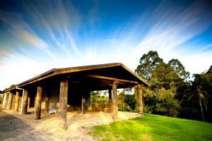 Australian College Of Eastern Medicine - University Australia 4