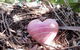 Adelaide Mindfulness - thumb 0