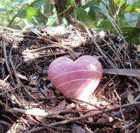 Adelaide Mindfulness - Education Directory