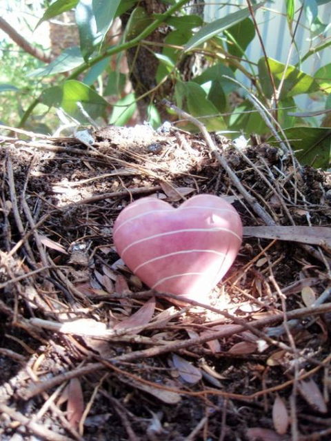 Adelaide Mindfulness - Education Directory 0