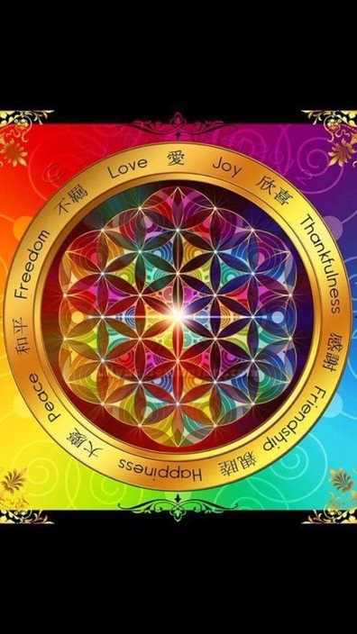 Deborah Stengord - Education NT 1