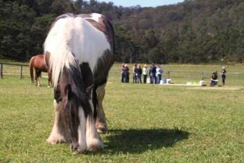Unbridled Results - Education Directory 0