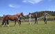 Unbridled Results - thumb 1