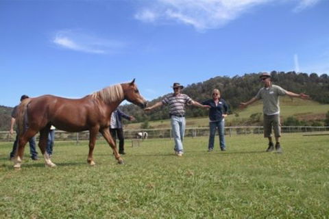 Unbridled Results - Education Directory 1
