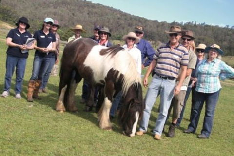 Unbridled Results - Education Directory 2
