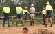 Steve Smith Chainsaw Training - thumb 2
