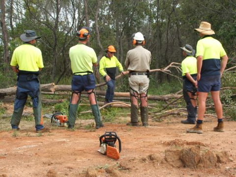 Steve Smith Chainsaw Training - Education Directory 2