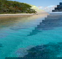 Remote Area Dive - Education Find