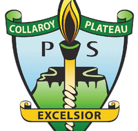Collaroy Plateau Public School - University Australia