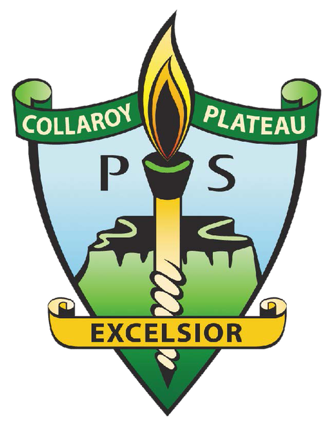 Collaroy Plateau Public School - Education SA 0