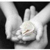Castlecrag NSW Education Directory