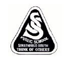 Strathfield South Public School - Education Directory