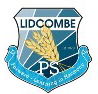 Lidcombe Public School  - University Australia